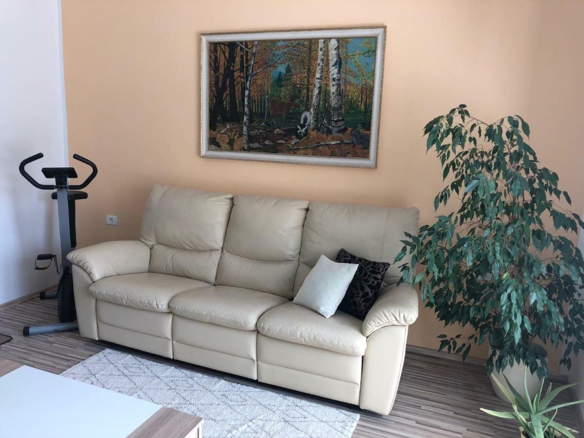 Apartma Mahnic Постойна Екстериор снимка